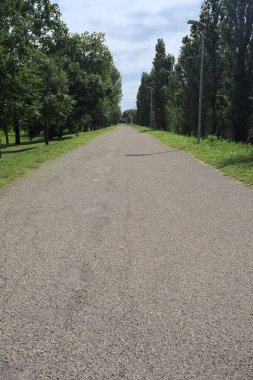 Güneşli bir günde, İtalya 'nın kırsal kesimindeki bir parktan geçen bir toprak setin üzerinde asfalt bir patika.