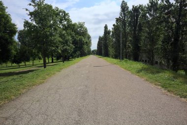 Güneşli bir günde, İtalya 'nın kırsal kesimindeki bir parktan geçen bir toprak setin üzerinde asfalt bir patika.