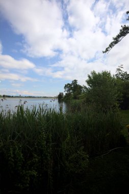 İtalya 'nın kırsal kesiminde bir ağaç tarafından çerçevelenmiş ve bulutlarla dolu güneşli bir günde kamışlarla çevrili bir nehir.