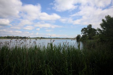 İtalya 'nın kırsal kesiminde bir ağaç tarafından çerçevelenmiş ve bulutlarla dolu güneşli bir günde kamışlarla çevrili bir nehir.