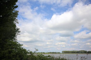 İtalya 'nın kırsal kesiminde bir ağaç tarafından çerçevelenmiş ve bulutlarla dolu güneşli bir günde kamışlarla çevrili bir nehir.