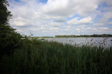 İtalya 'nın kırsal kesiminde bir ağaç tarafından çerçevelenmiş ve bulutlarla dolu güneşli bir günde kamışlarla çevrili bir nehir.