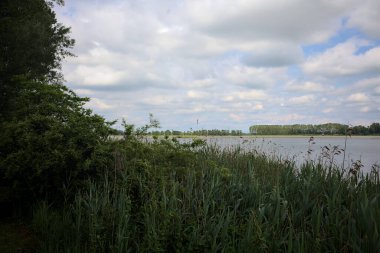 İtalya 'nın kırsal kesiminde bir ağaç tarafından çerçevelenmiş ve bulutlarla dolu güneşli bir günde kamışlarla çevrili bir nehir.