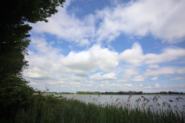 İtalya 'nın kırsal kesiminde bir ağaç tarafından çerçevelenmiş ve bulutlarla dolu güneşli bir günde kamışlarla çevrili bir nehir.