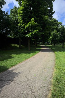 Güneşli bir günde, kısmen gölgede ağaçlarla çevrili bir parktaki patika.