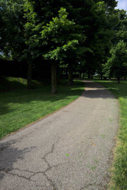 Güneşli bir günde, kısmen gölgede ağaçlarla çevrili bir parktaki patika.
