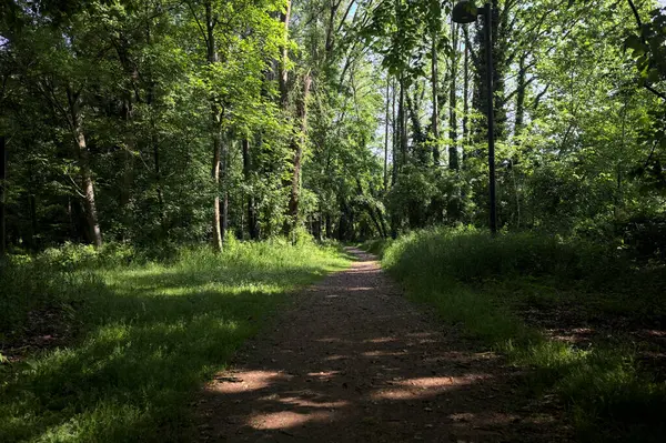 Çimenli olanla İtalyan kırsalındaki bir parktaki orijinal toprak arasındaki gölgeden ayrılın.