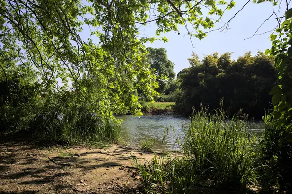 Güneşli bir günde tenha bir nehir kıyısında ağaçlarla çevrili karşı kıyıda.