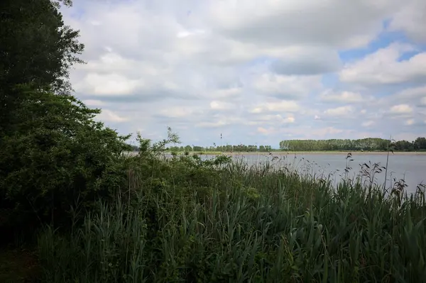 İtalya 'nın kırsal kesiminde bir ağaç tarafından çerçevelenmiş ve bulutlarla dolu güneşli bir günde kamışlarla çevrili bir nehir.