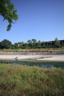 Bir ağaç tarafından çerçevelenmiş güneşli bir günde İtalya kırsalında bir eğlence kanalı.