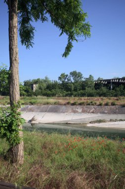 Bir ağaç tarafından çerçevelenmiş güneşli bir günde İtalya kırsalında bir eğlence kanalı.