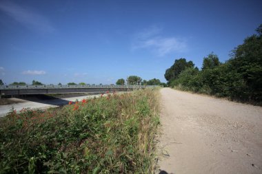 İtalya kırsalında güneşli bir günde ağaçlarla çevrili gelinciklerle dolu bir kanalın kıyısındaki toprak yol.