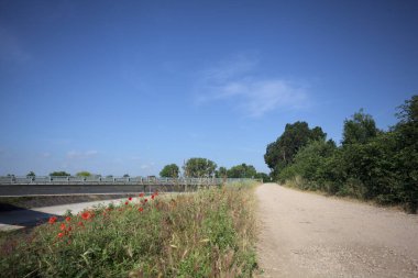 İtalya kırsalında güneşli bir günde ağaçlarla çevrili gelinciklerle dolu bir kanalın kıyısındaki toprak yol.