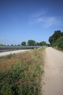 İtalya kırsalında güneşli bir günde ağaçlarla çevrili gelinciklerle dolu bir kanalın kıyısındaki toprak yol.