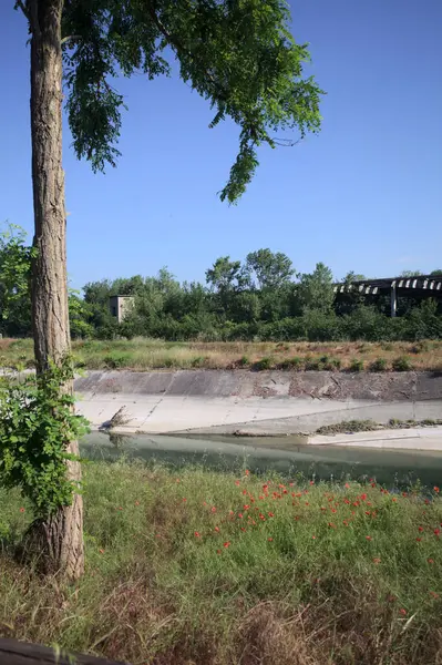 Bir ağaç tarafından çerçevelenmiş güneşli bir günde İtalya kırsalında bir eğlence kanalı.
