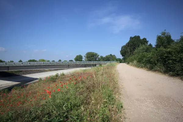 İtalya kırsalında güneşli bir günde ağaçlarla çevrili gelinciklerle dolu bir kanalın kıyısındaki toprak yol.