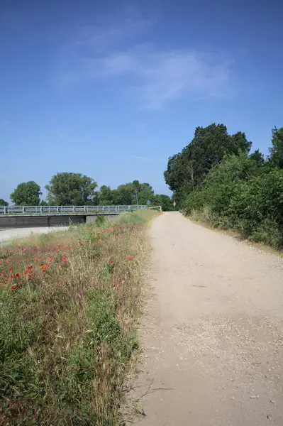 İtalya kırsalında güneşli bir günde ağaçlarla çevrili gelinciklerle dolu bir kanalın kıyısındaki toprak yol.