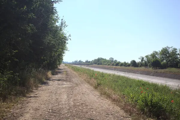 İtalya kırsalında güneşli bir günde ağaçlarla çevrili gelinciklerle dolu bir kanalın kıyısındaki toprak yol.
