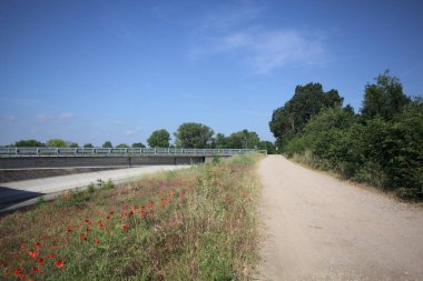 İtalya kırsalında güneşli bir günde ağaçlarla çevrili gelinciklerle dolu bir kanalın kıyısındaki toprak yol.