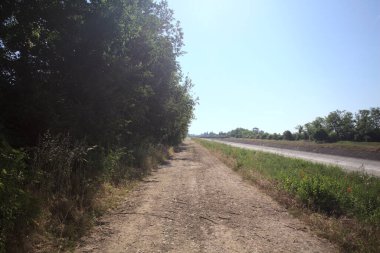 İtalya kırsalında güneşli bir günde ağaçlarla çevrili gelinciklerle dolu bir kanalın kıyısındaki toprak yol.