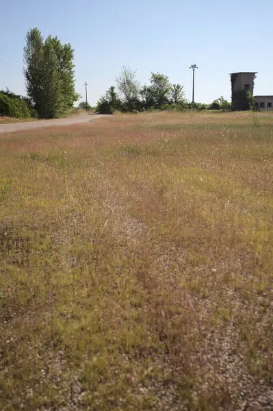 Çamur yolu, güneşli bir günde kuru çimenler ve ağaçlarla kaplı bir bahçenin yanındaki paslı bir bar tarafından kapatıldı.