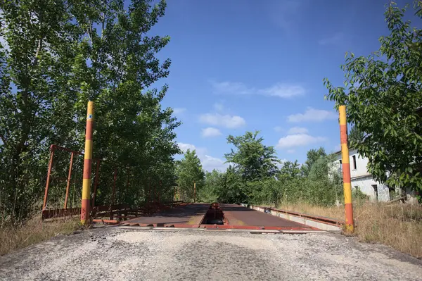 Güneşli bir günde terk edilmiş bir endüstriyel tesiste çalılarla çevrili bir ölçek platformu.