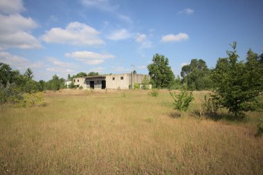 Terk edilmiş bir yerleşkenin depoları güneşli bir günde ağaçlarla çevrili İtalya kırsalında kuru çimenler ve çakıllarla çevrili bir bahçeden görülebiliyor.