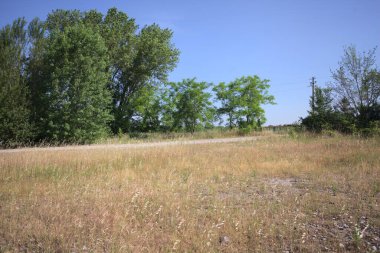 Çamur yolu, güneşli bir günde kuru çimenler ve ağaçlarla kaplı bir bahçenin yanındaki paslı bir bar tarafından kapatıldı.