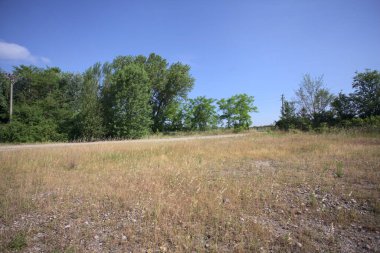 Çamur yolu, güneşli bir günde kuru çimenler ve ağaçlarla kaplı bir bahçenin yanındaki paslı bir bar tarafından kapatıldı.