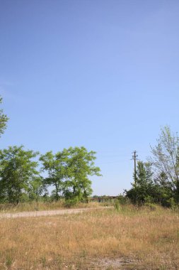 Çamur yolu, güneşli bir günde kuru çimenler ve ağaçlarla kaplı bir bahçenin yanındaki paslı bir bar tarafından kapatıldı.
