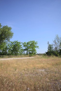 Çamur yolu, güneşli bir günde kuru çimenler ve ağaçlarla kaplı bir bahçenin yanındaki paslı bir bar tarafından kapatıldı.