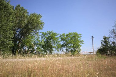 Çamur yolu, güneşli bir günde kuru çimenler ve ağaçlarla kaplı bir bahçenin yanındaki paslı bir bar tarafından kapatıldı.