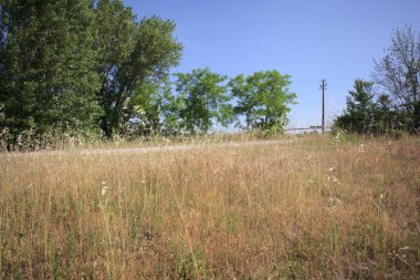 Çamur yolu, güneşli bir günde kuru çimenler ve ağaçlarla kaplı bir bahçenin yanındaki paslı bir bar tarafından kapatıldı.