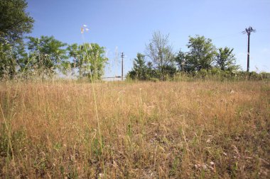 Çamur yolu, güneşli bir günde kuru çimenler ve ağaçlarla kaplı bir bahçenin yanındaki paslı bir bar tarafından kapatıldı.