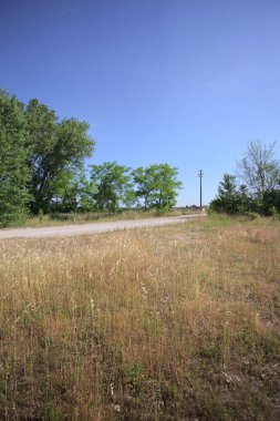 Çamur yolu, güneşli bir günde kuru çimenler ve ağaçlarla kaplı bir bahçenin yanındaki paslı bir bar tarafından kapatıldı.