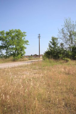 Çamur yolu, güneşli bir günde kuru çimenler ve ağaçlarla kaplı bir bahçenin yanındaki paslı bir bar tarafından kapatıldı.