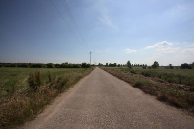 Ufuk çizgisine kadar uzanan eskimiş bir yol. İtalya kırsalında güneşli bir günde gelincikleriyle çevrili tarlalar.