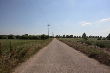 Ufuk çizgisine kadar uzanan eskimiş bir yol. İtalya kırsalında güneşli bir günde gelincikleriyle çevrili tarlalar.