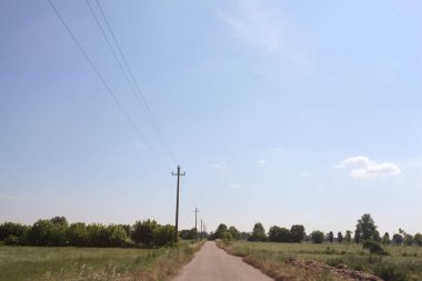 Ufuk çizgisine kadar uzanan eskimiş bir yol. İtalya kırsalında güneşli bir günde gelincikleriyle çevrili tarlalar.
