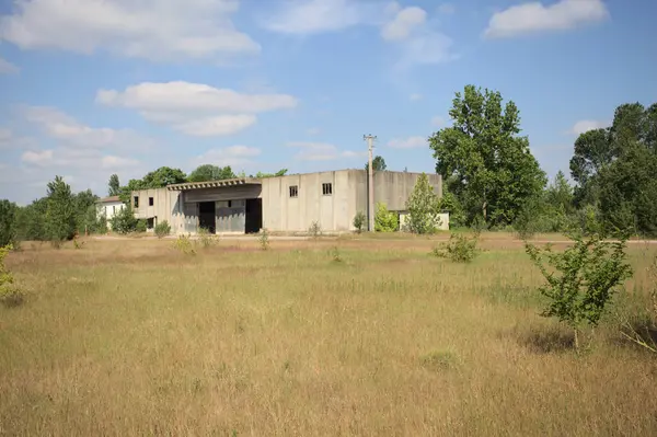 Terk edilmiş bir yerleşkenin depoları güneşli bir günde ağaçlarla çevrili İtalya kırsalında kuru çimenler ve çakıllarla çevrili bir bahçeden görülebiliyor.