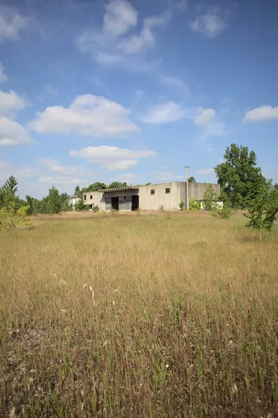 Terk edilmiş bir yerleşkenin depoları güneşli bir günde ağaçlarla çevrili İtalya kırsalında kuru çimenler ve çakıllarla çevrili bir bahçeden görülebiliyor.