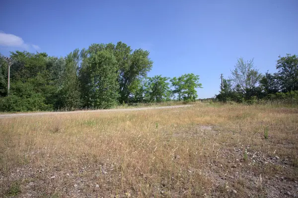 Çamur yolu, güneşli bir günde kuru çimenler ve ağaçlarla kaplı bir bahçenin yanındaki paslı bir bar tarafından kapatıldı.