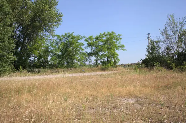 Çamur yolu, güneşli bir günde kuru çimenler ve ağaçlarla kaplı bir bahçenin yanındaki paslı bir bar tarafından kapatıldı.