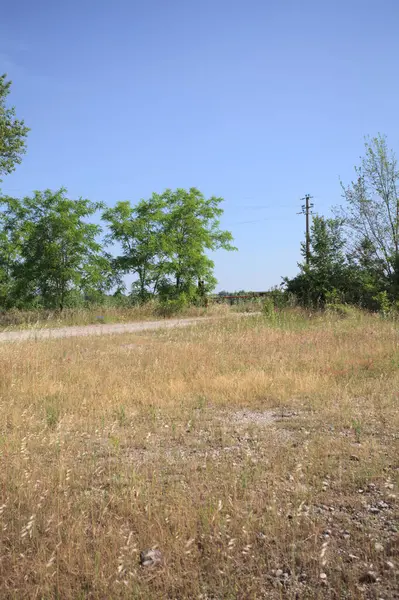 Çamur yolu, güneşli bir günde kuru çimenler ve ağaçlarla kaplı bir bahçenin yanındaki paslı bir bar tarafından kapatıldı.