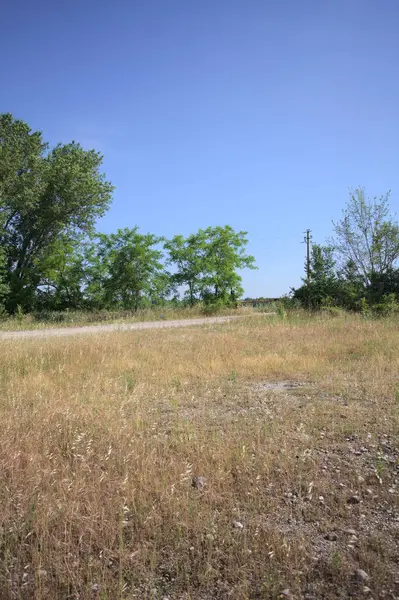 Çamur yolu, güneşli bir günde kuru çimenler ve ağaçlarla kaplı bir bahçenin yanındaki paslı bir bar tarafından kapatıldı.