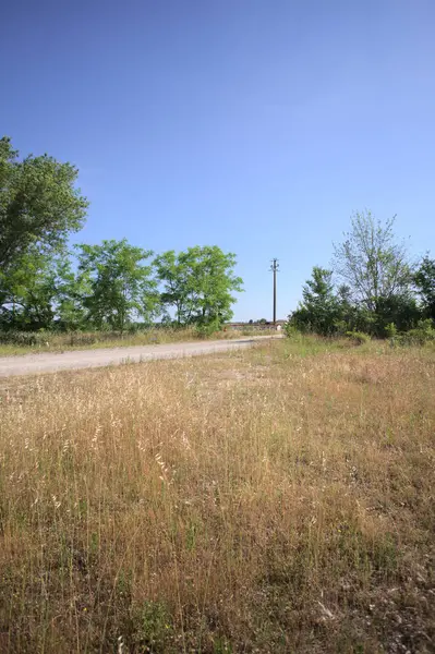 Çamur yolu, güneşli bir günde kuru çimenler ve ağaçlarla kaplı bir bahçenin yanındaki paslı bir bar tarafından kapatıldı.