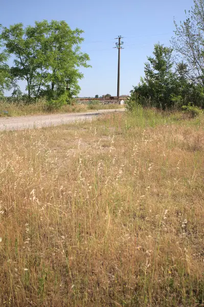 Çamur yolu, güneşli bir günde kuru çimenler ve ağaçlarla kaplı bir bahçenin yanındaki paslı bir bar tarafından kapatıldı.