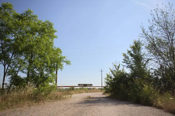 Eskimiş asfalt yollar, güneşli bir günde ağaçların çerçevelediği paslı bir bar tarafından kapatılmış.