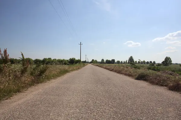 Ufuk çizgisine kadar uzanan eskimiş bir yol. İtalya kırsalında güneşli bir günde gelincikleriyle çevrili tarlalar.