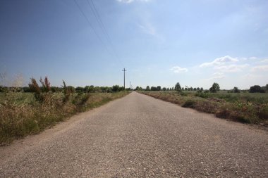 Ufuk çizgisine kadar uzanan eskimiş bir yol. İtalya kırsalında güneşli bir günde gelincikleriyle çevrili tarlalar.
